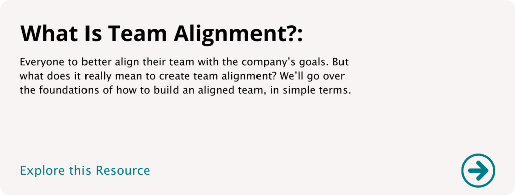 Team Alignment Fundamentals Overview - Vision Driven Global