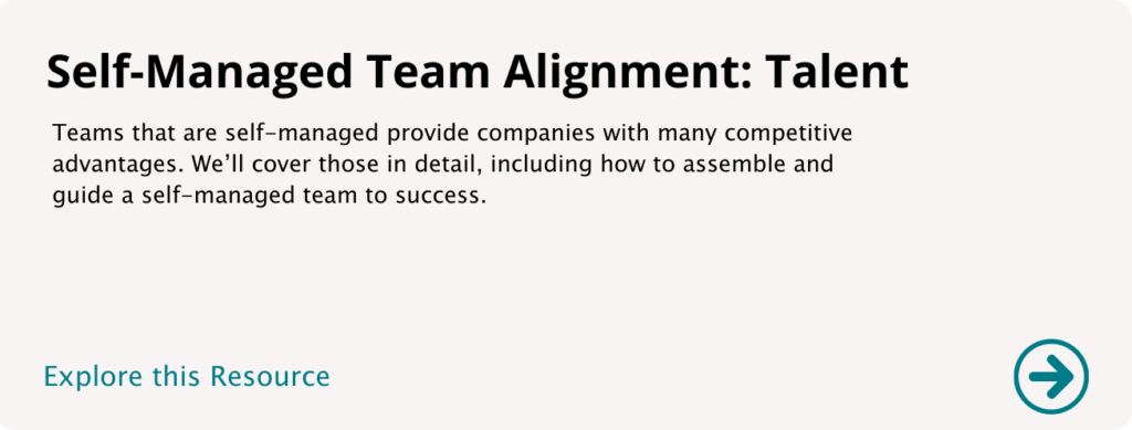 Self-Managed Team Alignment Overview - Vision Driven Global