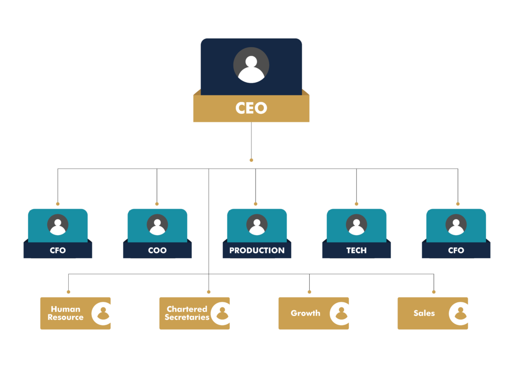 Leadership Team Alignment - Vision Driven Global